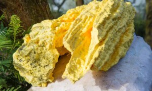 What is Sulfur, its Properties, Occurrence, and Uses