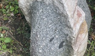 Can anyone shed light on what this rock may be