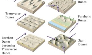 What is sand dunes,Types of Sand Dunes and formation?