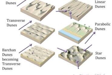 What is sand dunes,Types of Sand Dunes and formation?